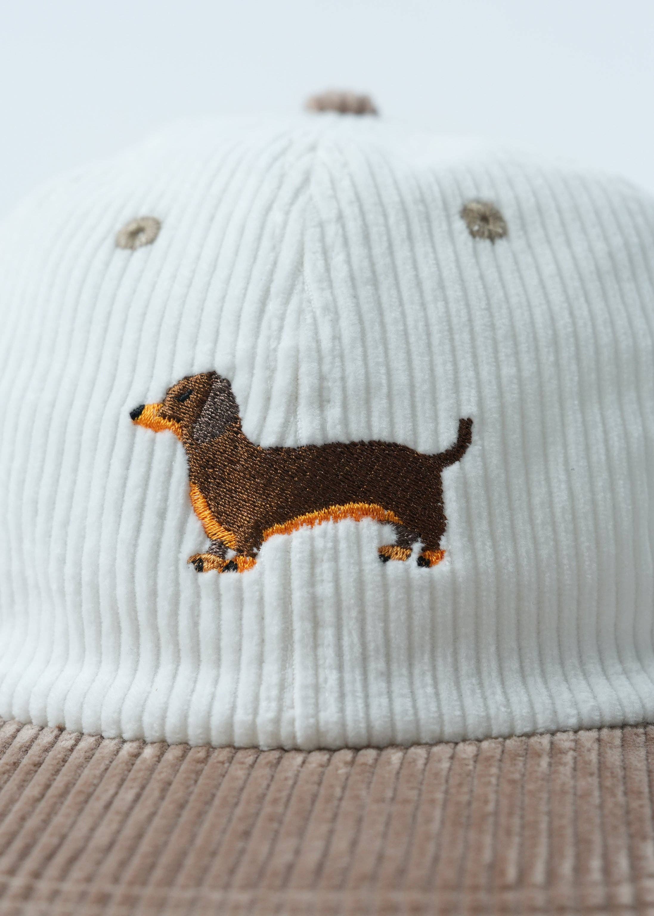 The Sausage Dog Lid