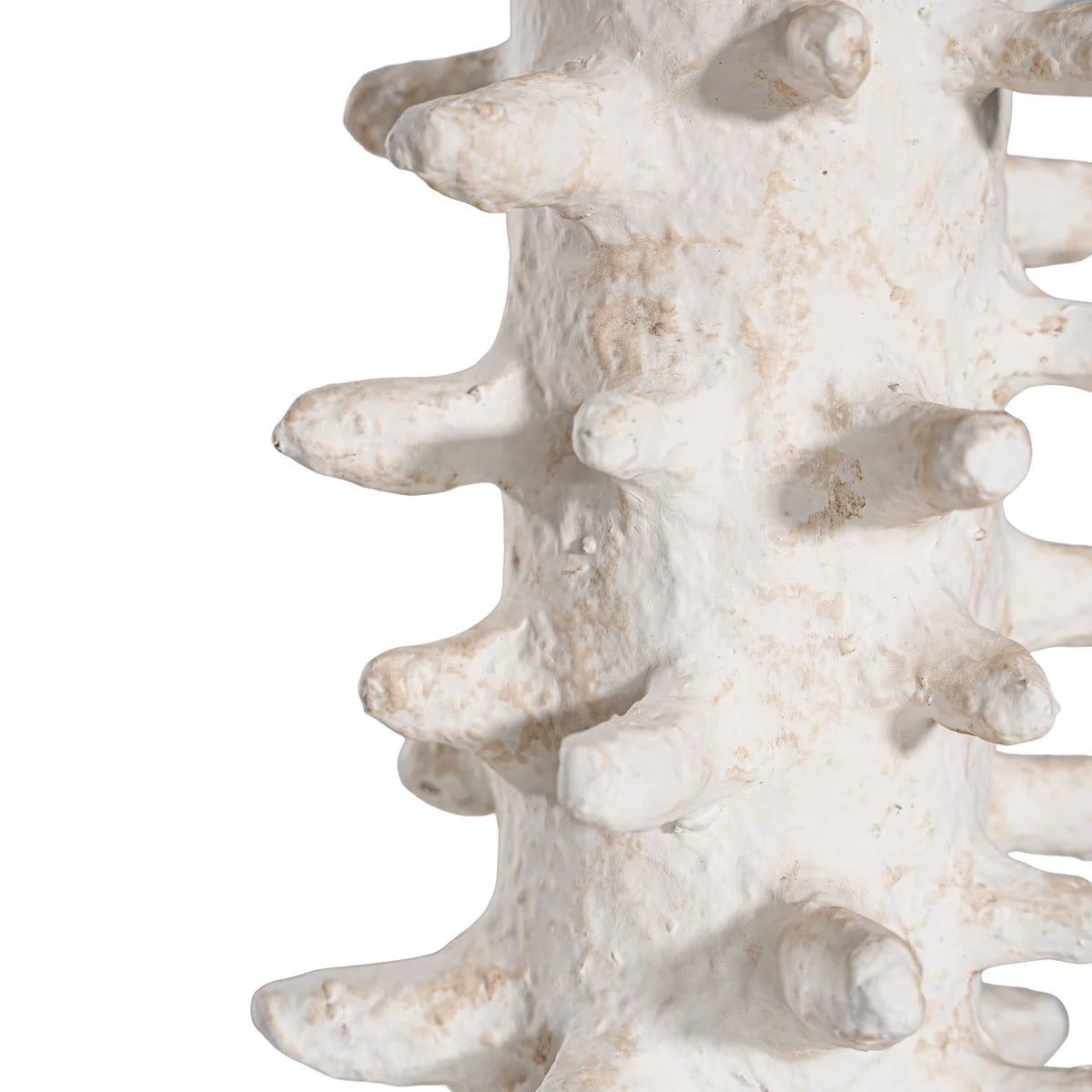 SULA TABLE LAMP | LIGHT ROAST