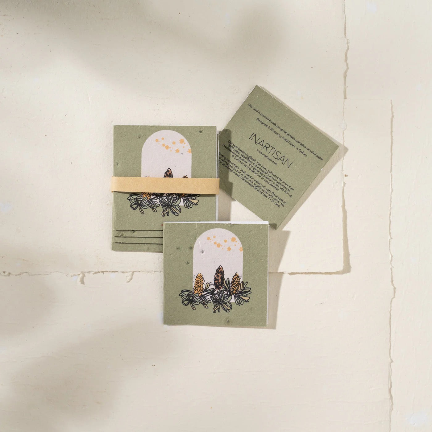 Banksia Arch Plantable Gift Tag