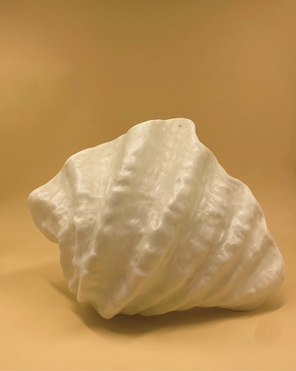 THE ZURI CLAM SCONCE