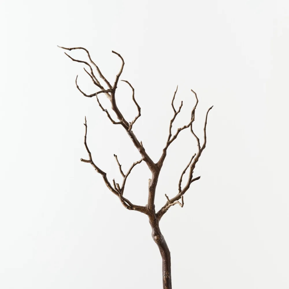 Twig Coral Branch