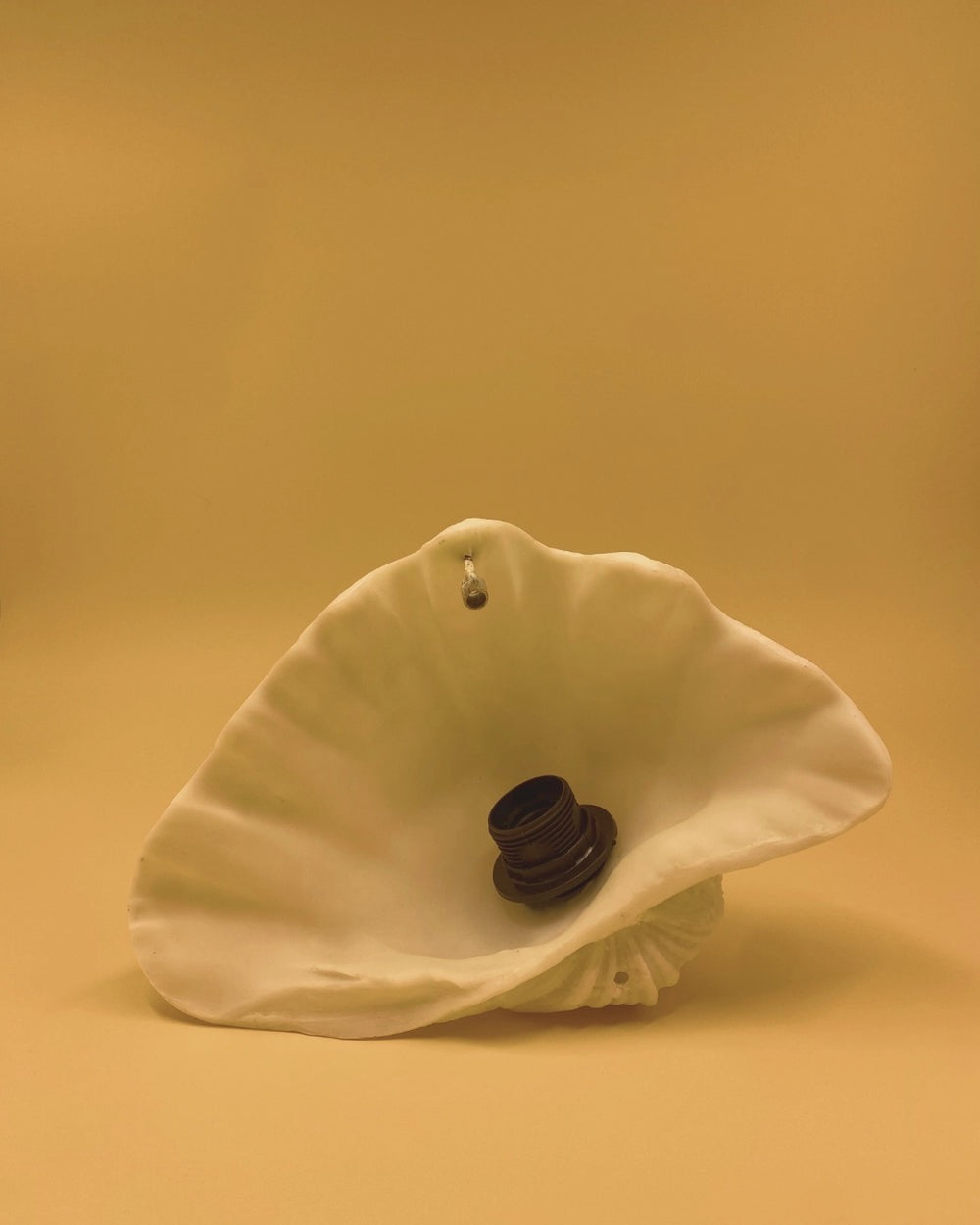 THE ZURI CLAM SCONCE