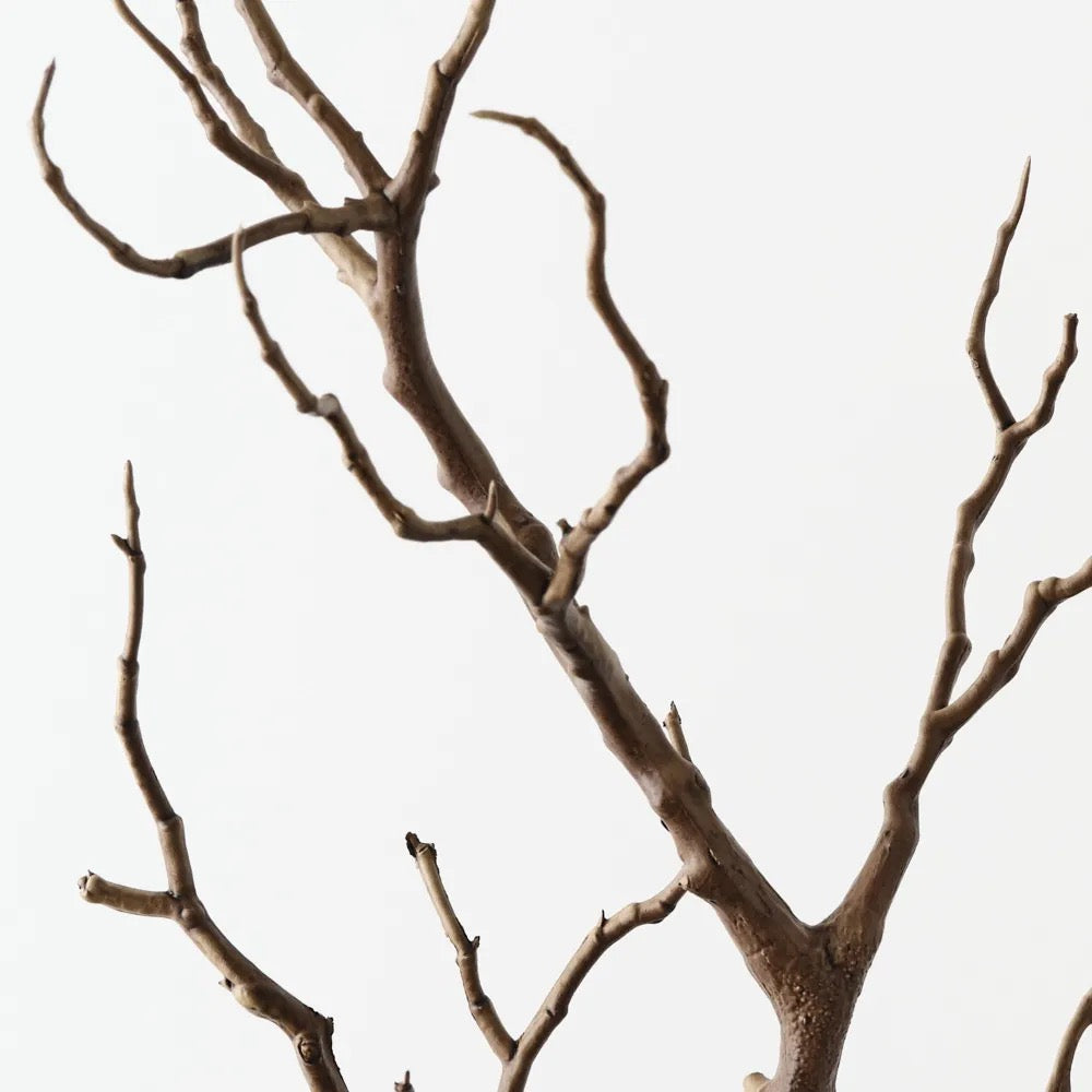 Twig Coral Branch