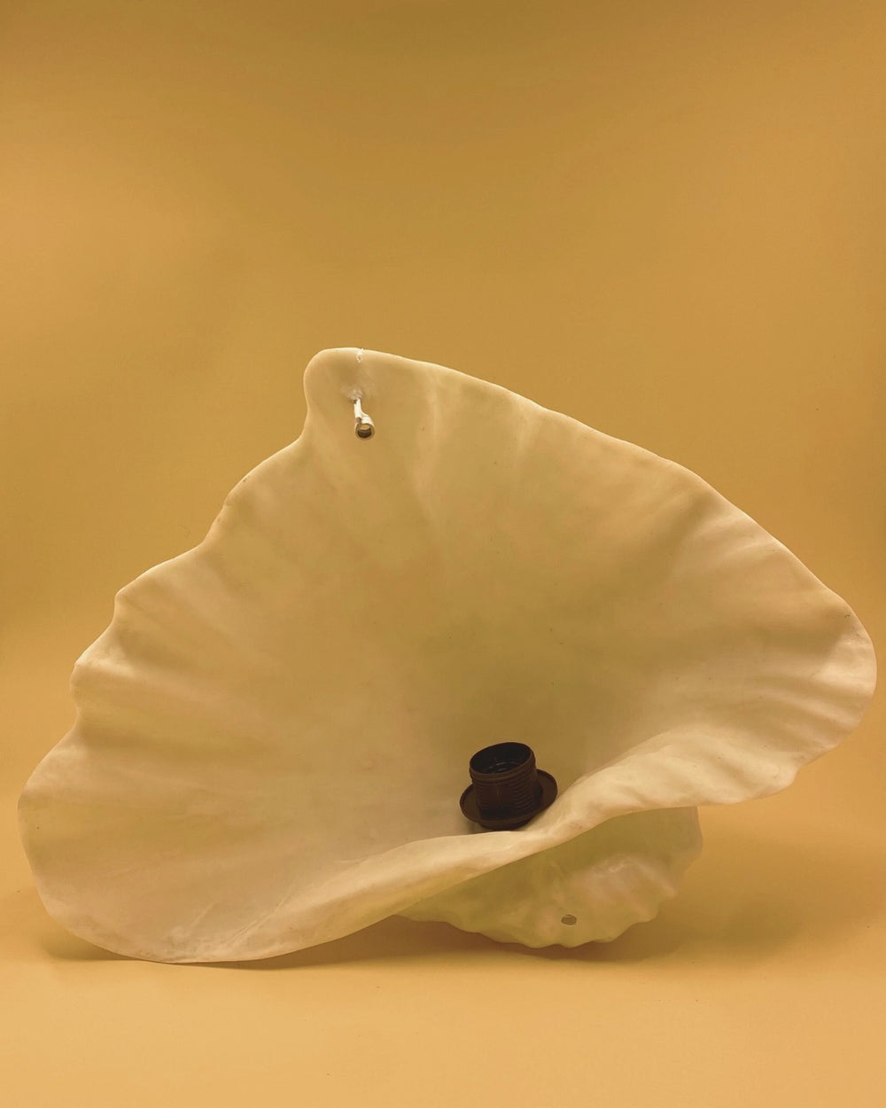 THE ZURI CLAM SCONCE