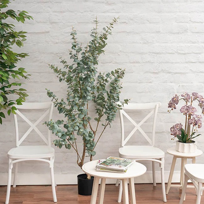 Eucalyptus Tree Faux Real Touch Potted Green (180cmH)