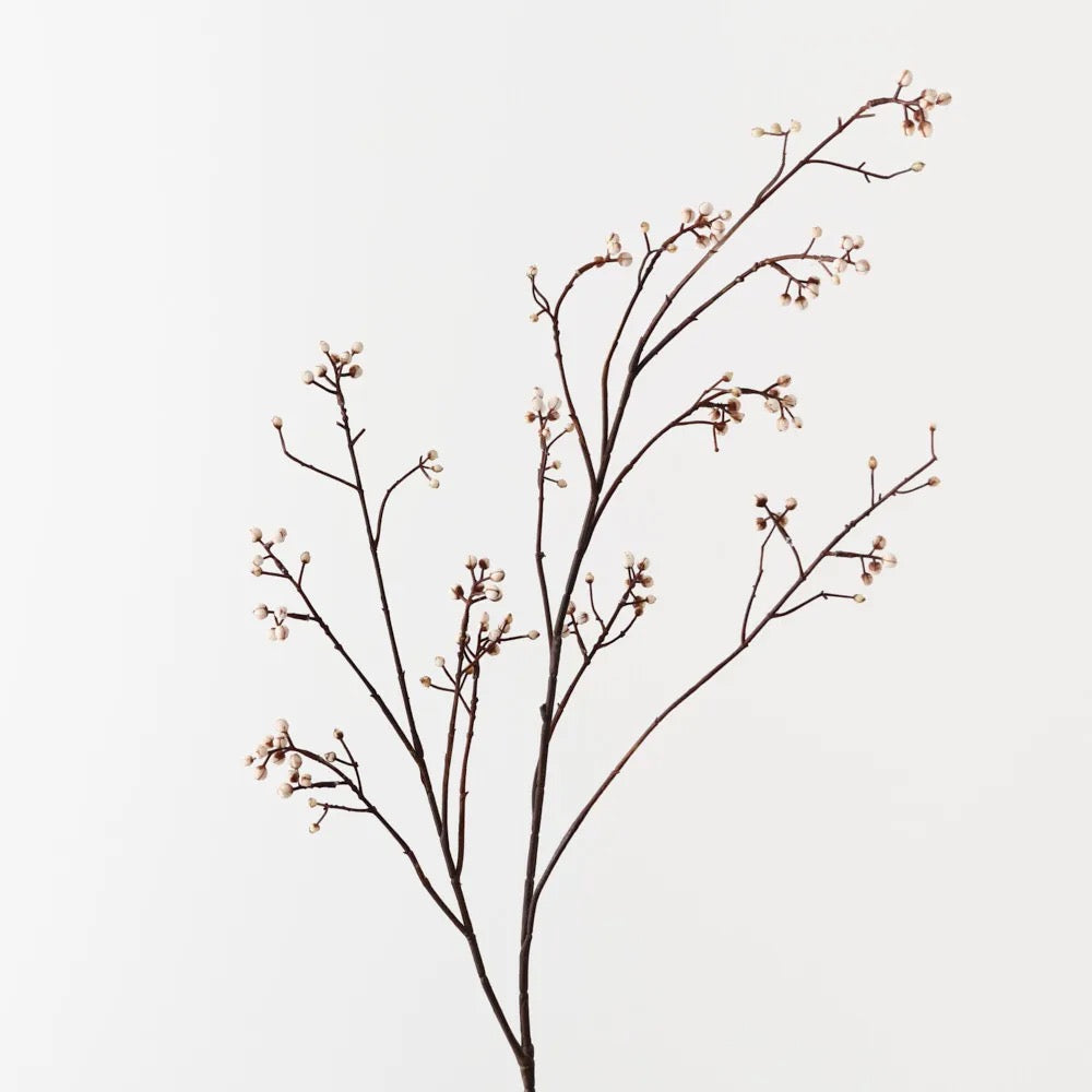 Tallow Spray