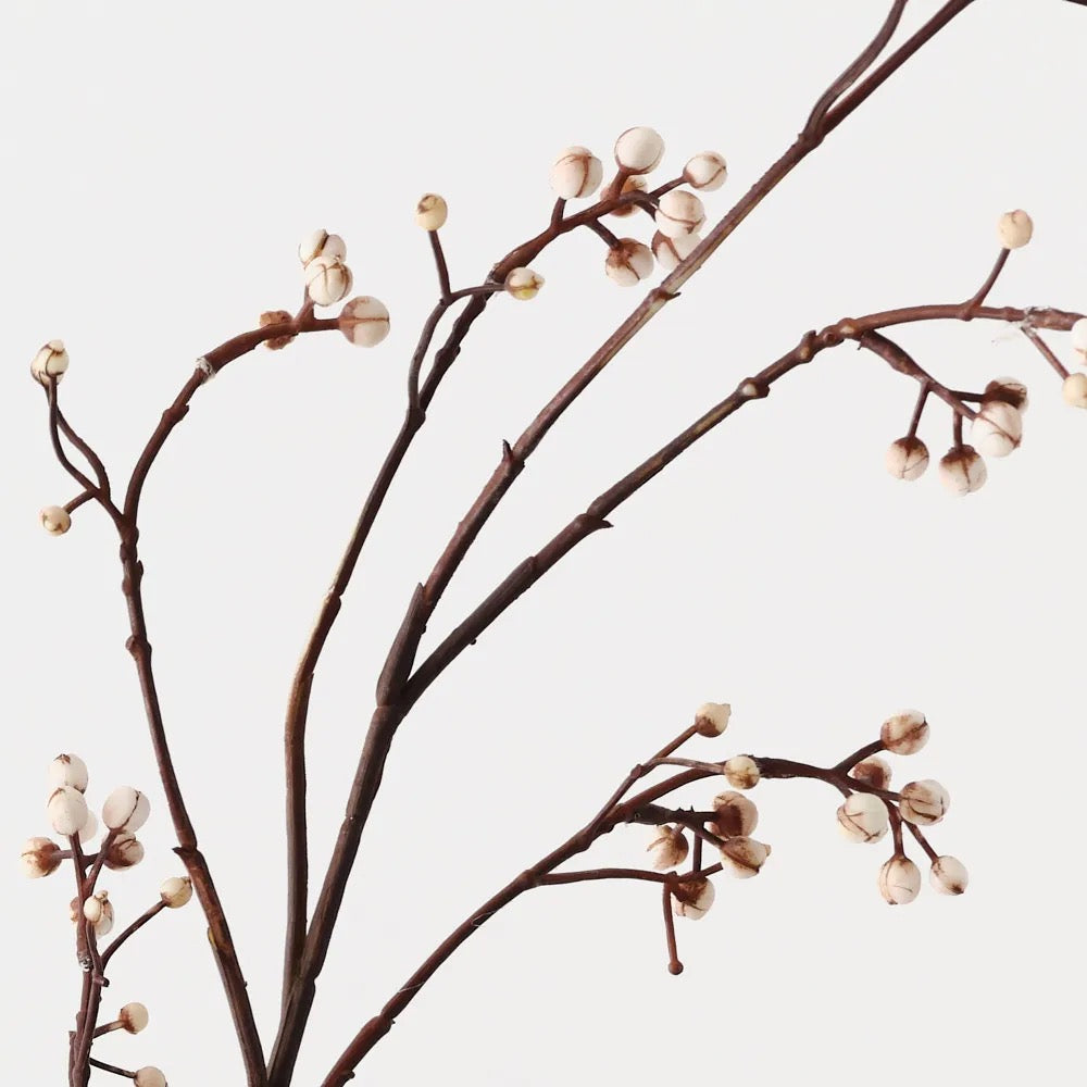 Tallow Spray