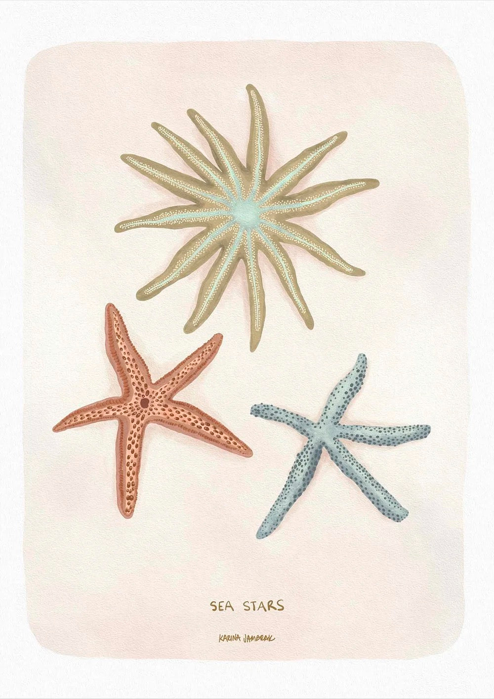 SEA STARS