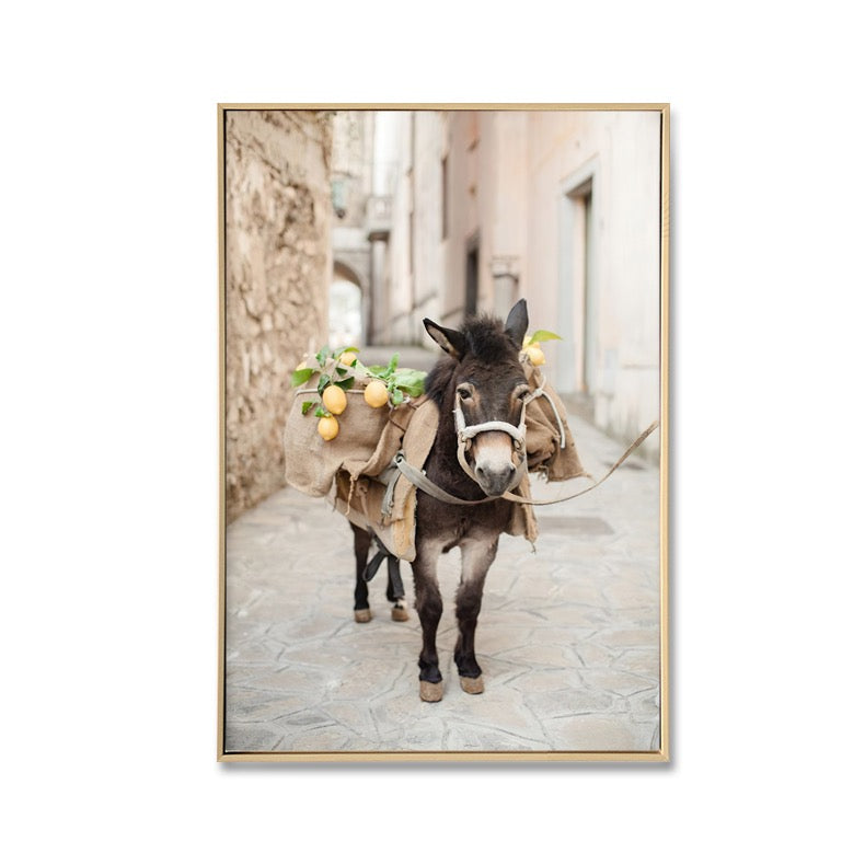 Tuscan Donkey