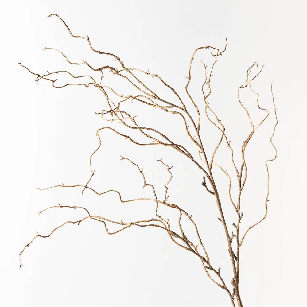 Twig Curly Willow Spray