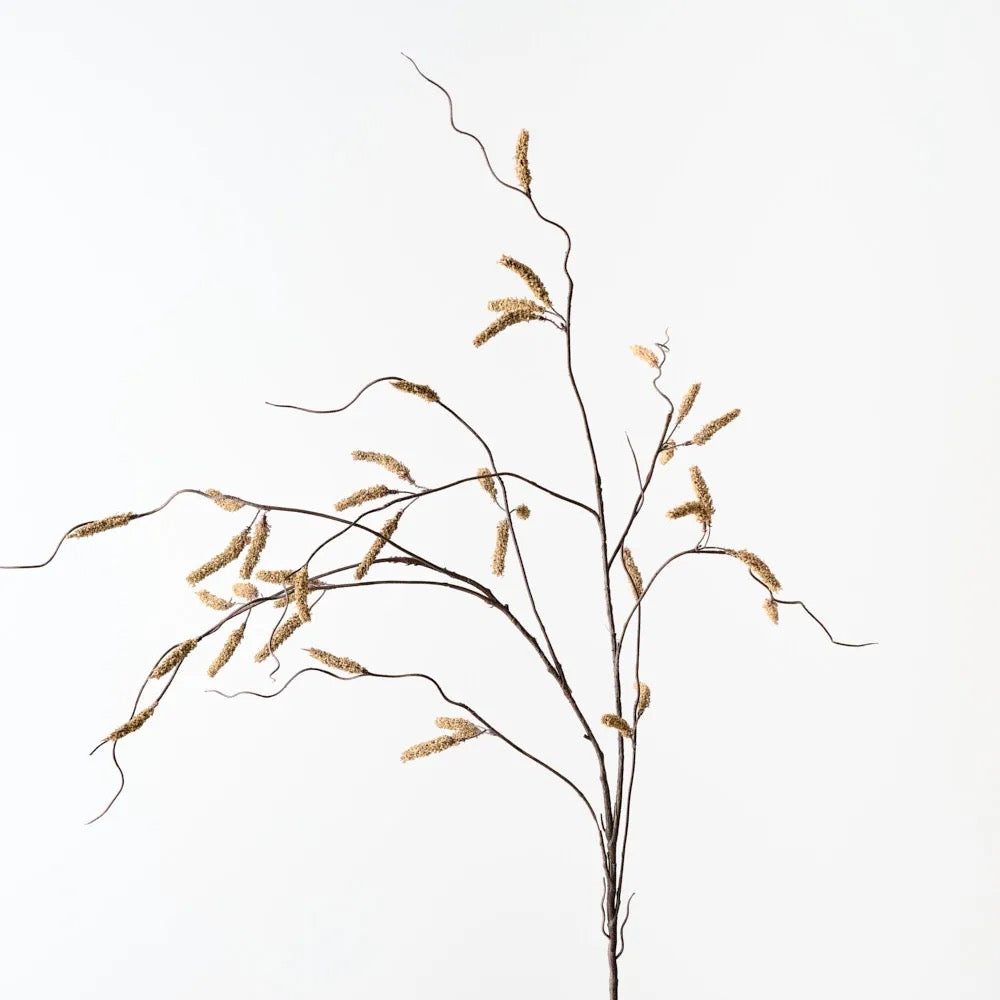 Amaranthus Spray