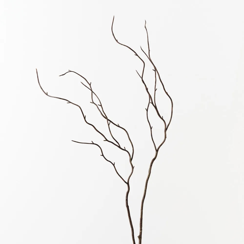 Twig Curly Spray