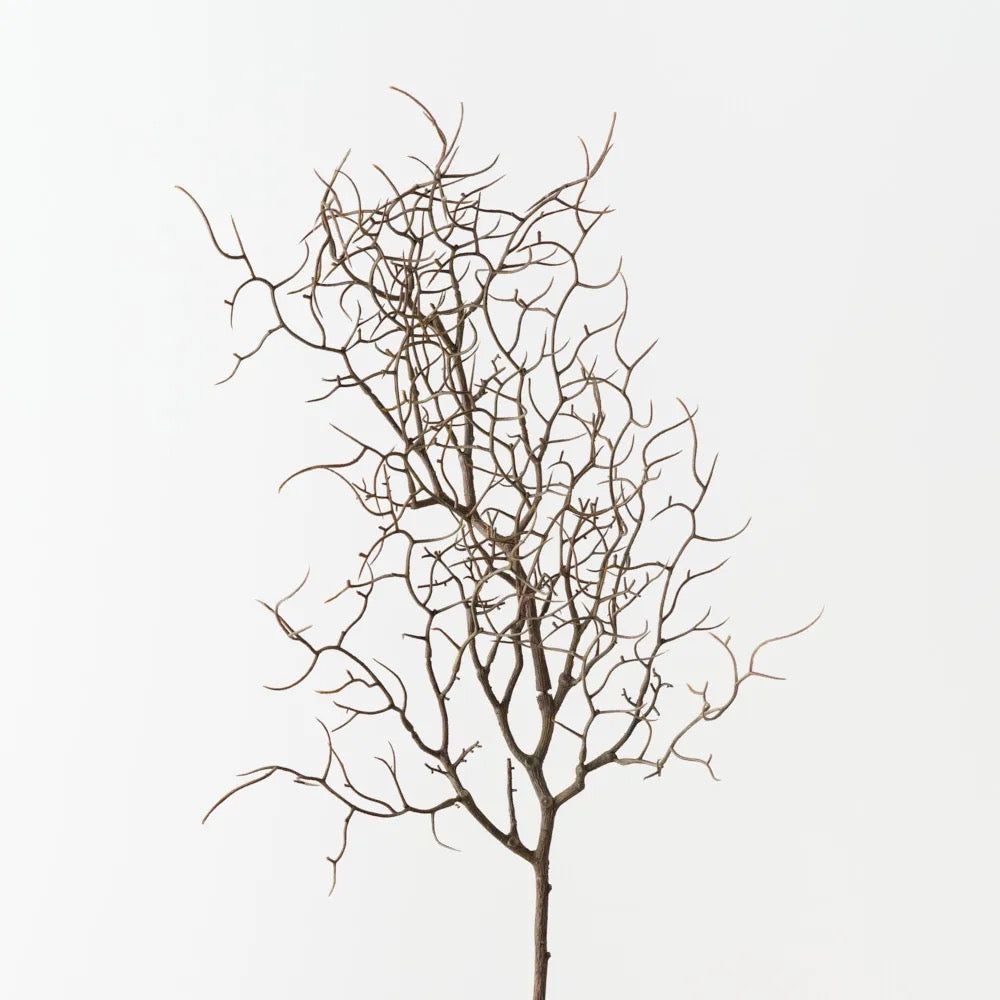 Twig Curly Spray
