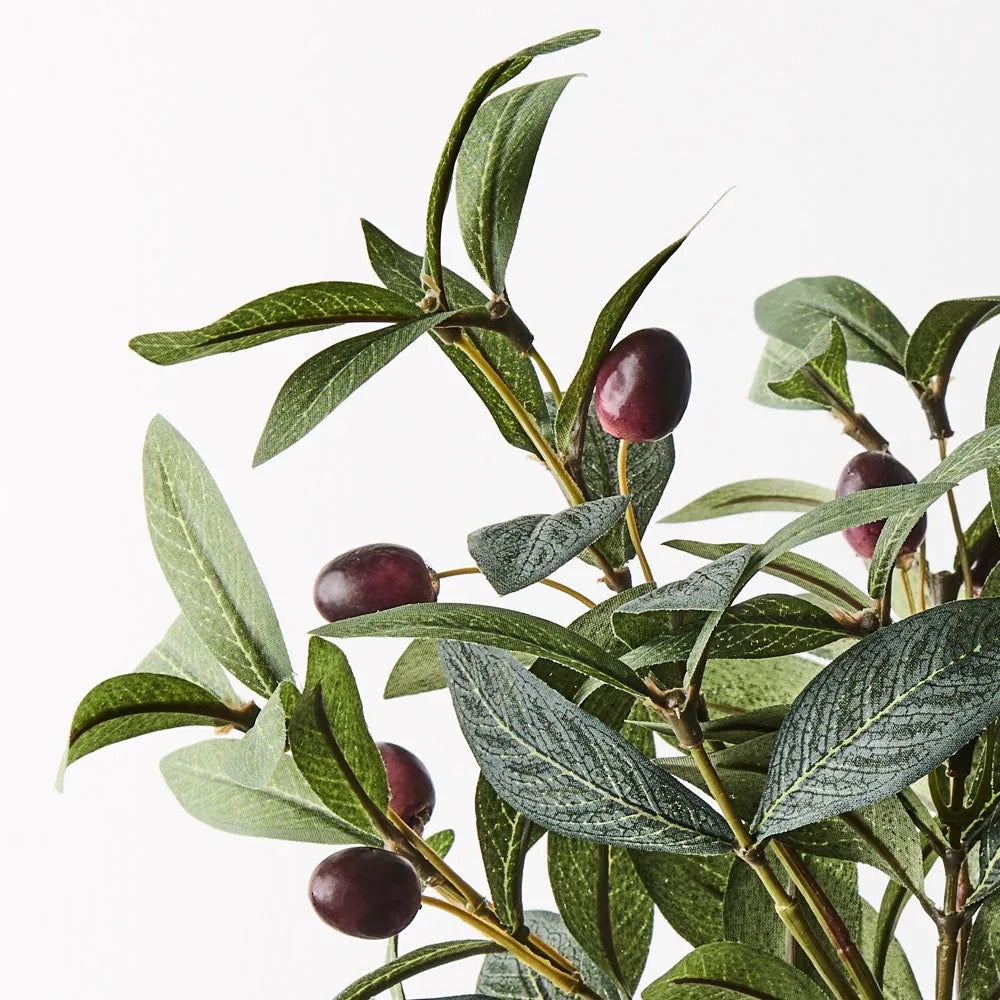 Olive leaf Pick 40cm