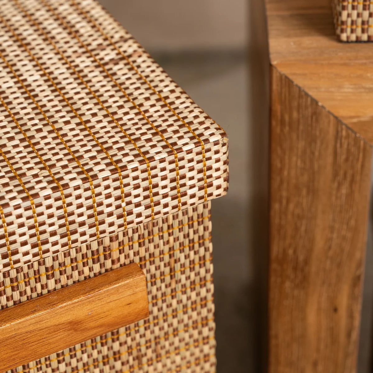 Torin Handwoven Surface Storage Boxes