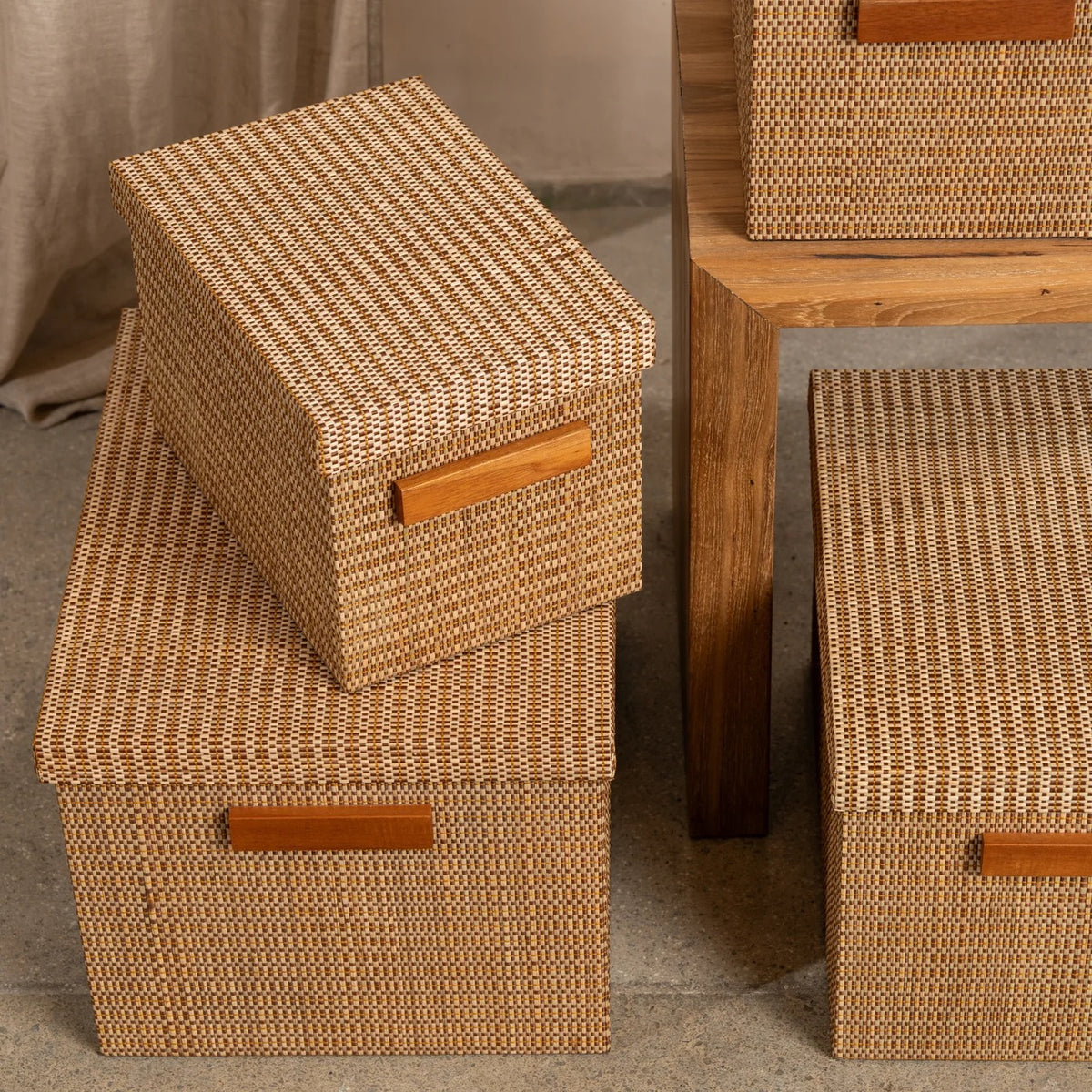 Torin Handwoven Surface Storage Boxes