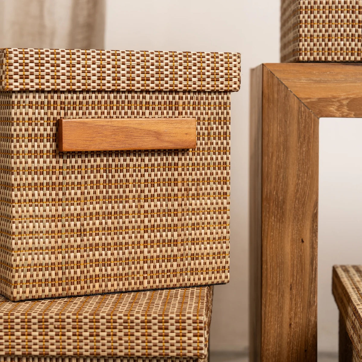 Torin Handwoven Surface Storage Boxes