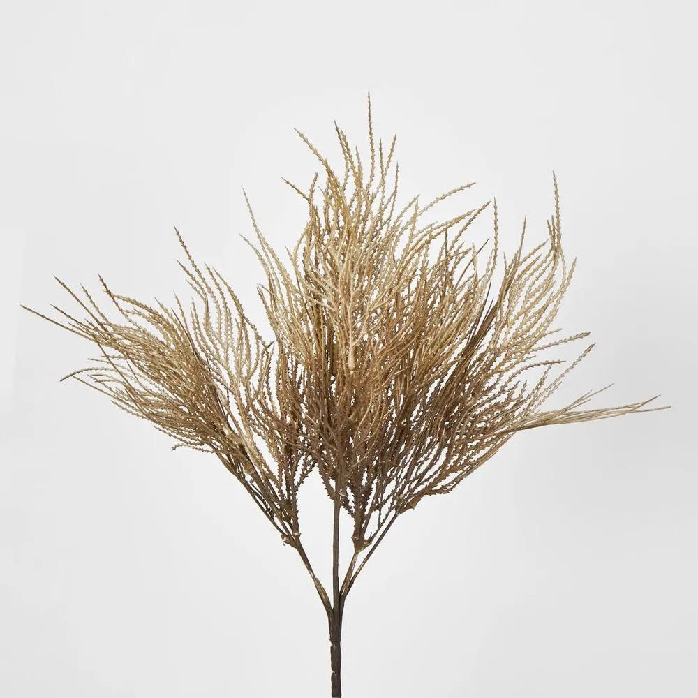 PAMPAS GRASS SEED SPRAY BROWN