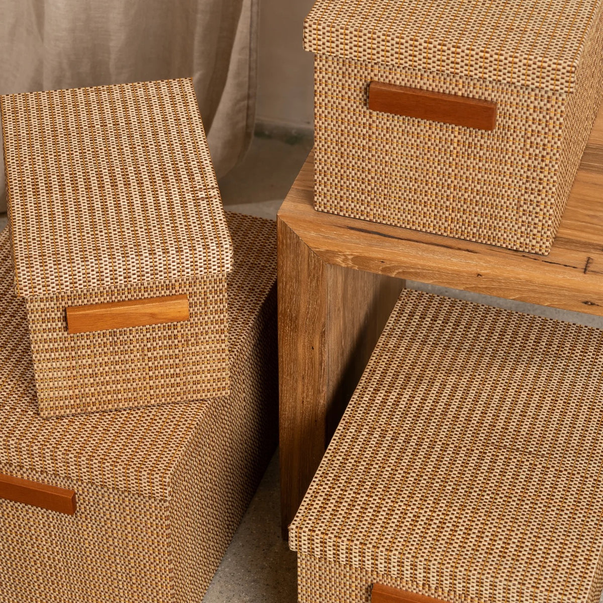 Torin Handwoven Surface Storage Boxes