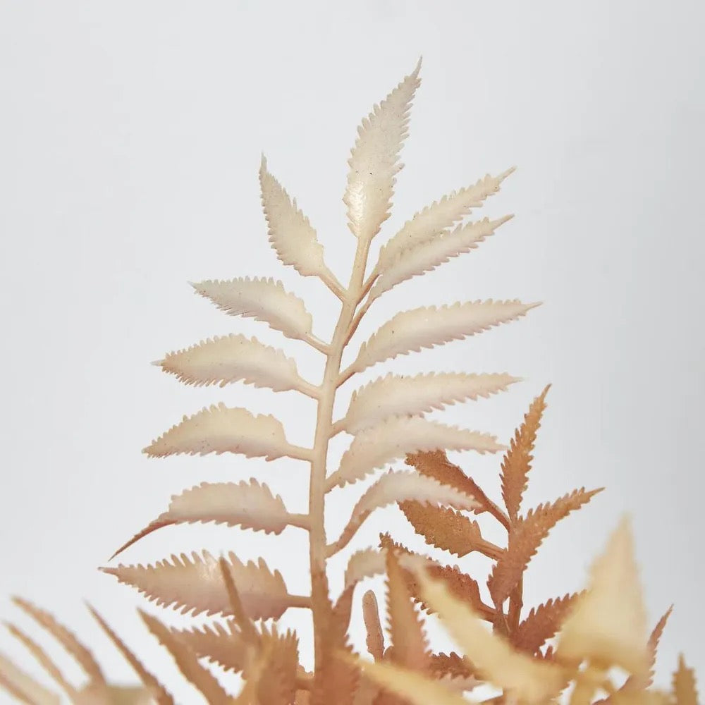 FERN BUSH -PINK