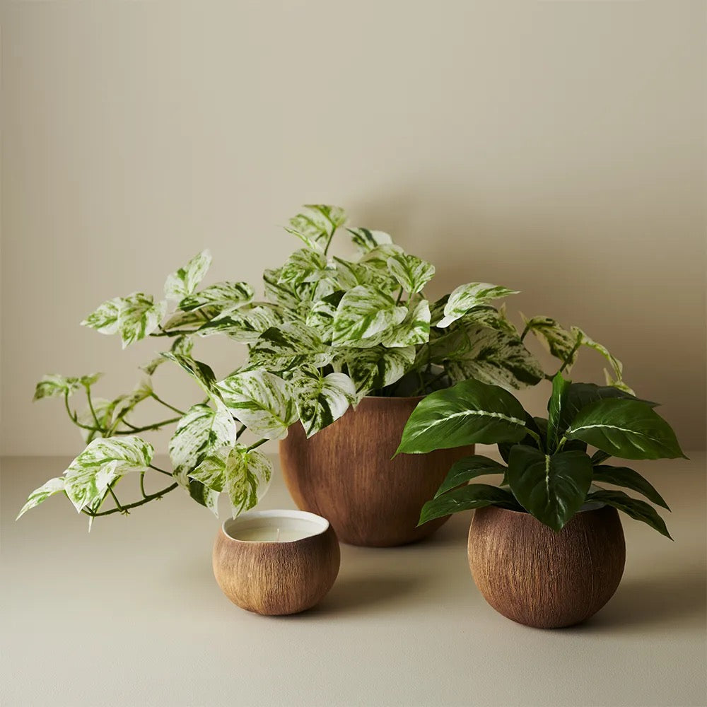 Calypso Pot