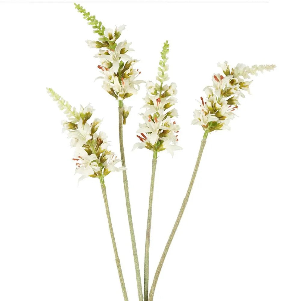 SALVIA NUTANS SAGE SPRAY -CREAM