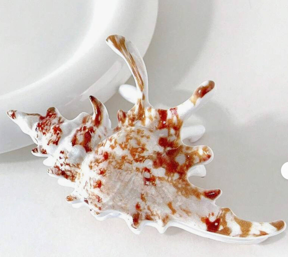 Shell Claw Clip