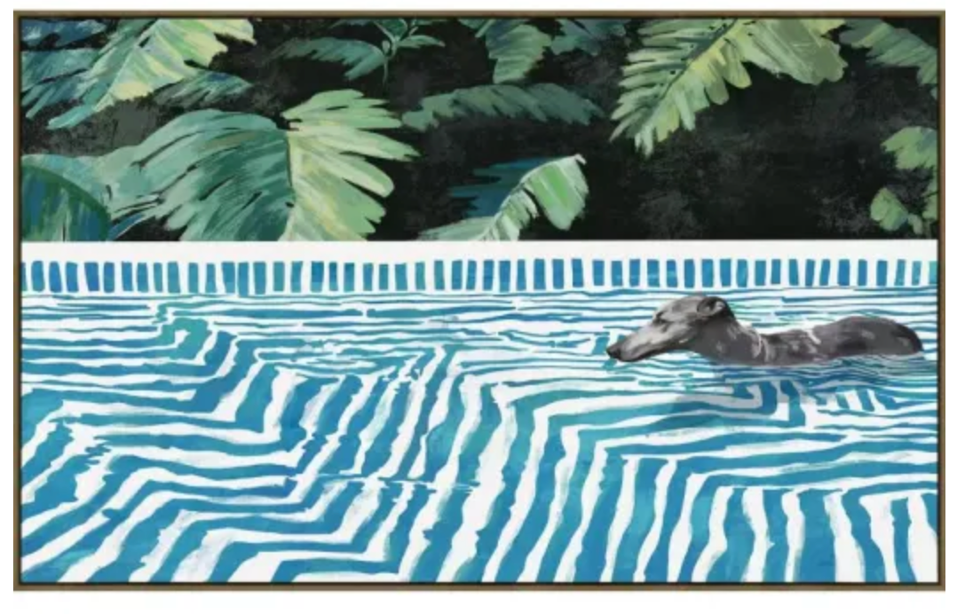 SWIMMING GREYHOUND