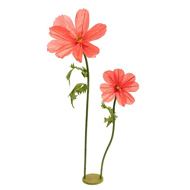 Giant Paper Cosmos Flower Set 2 (160cmH)