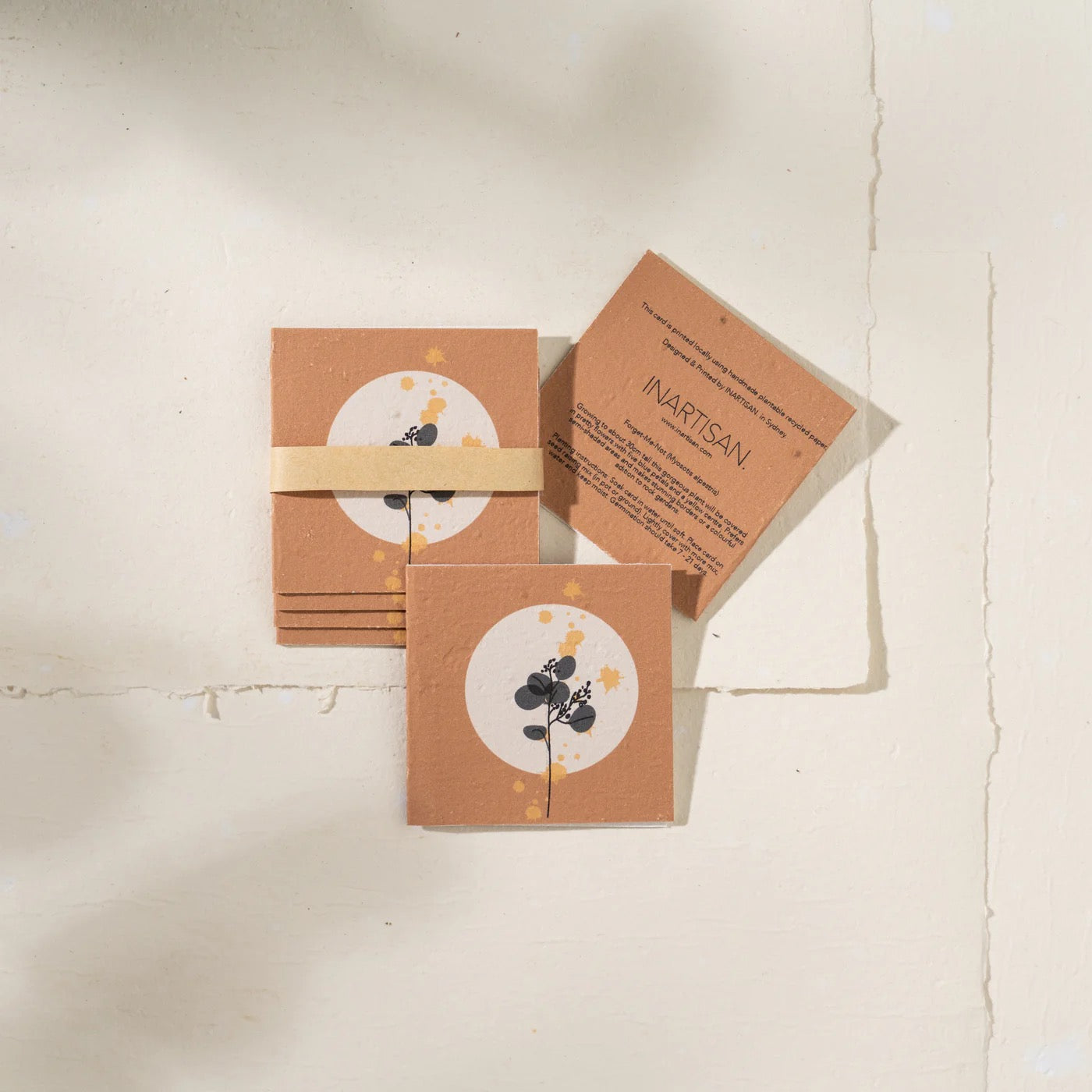 Silver Dollar Plantable Gift Tag