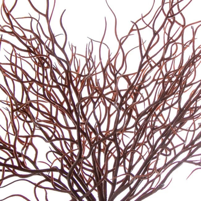 Deadwood Plant Bush Brown