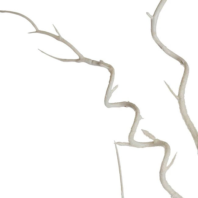 Artificial Curly Twig Branch White (112cmH)