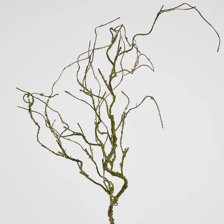 Twig Vine 109cm Dry Natural