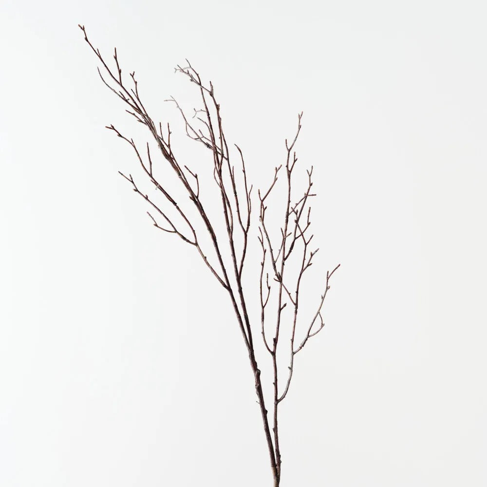 Cottonwood Twig Spray