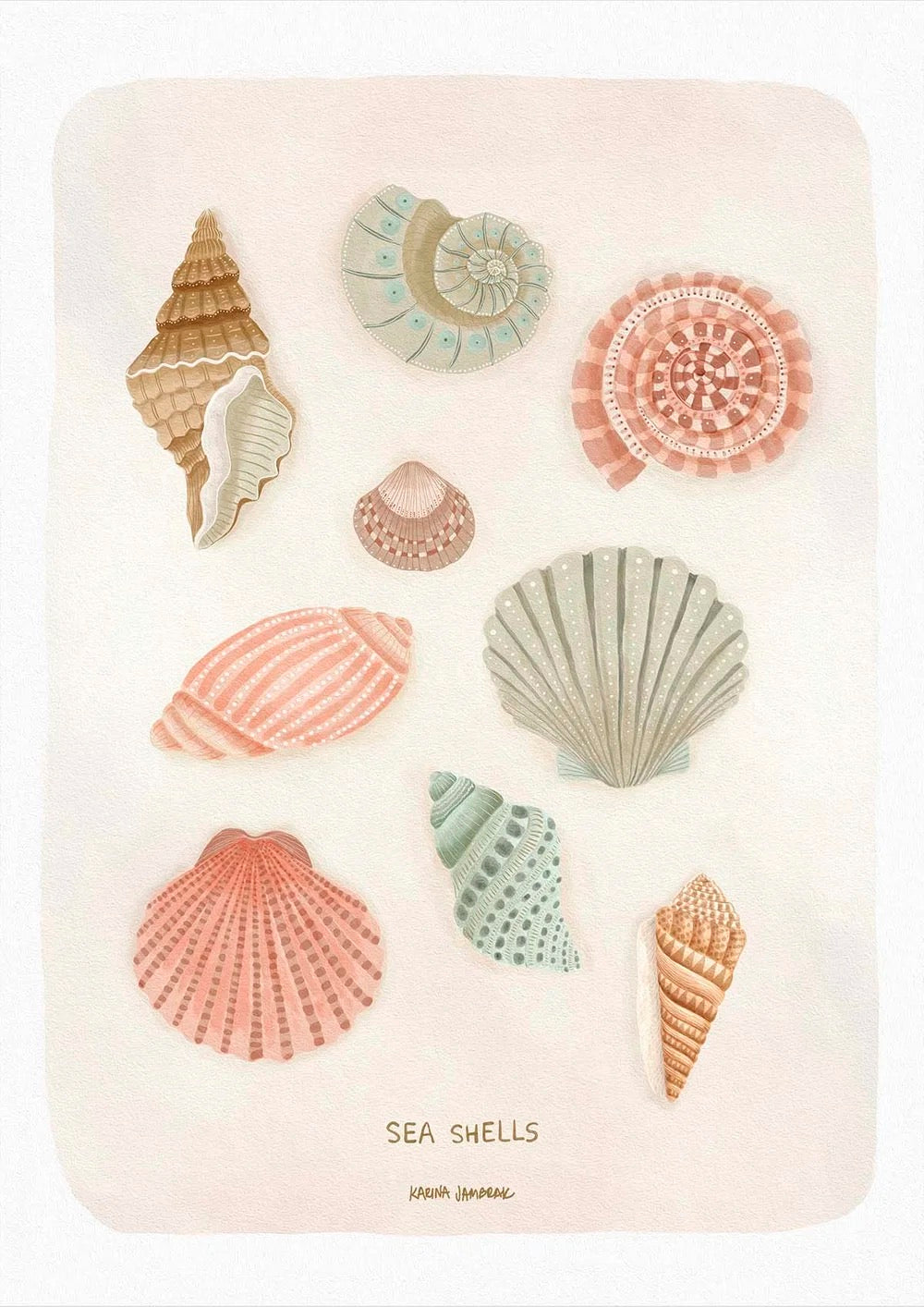SEA SHELLS