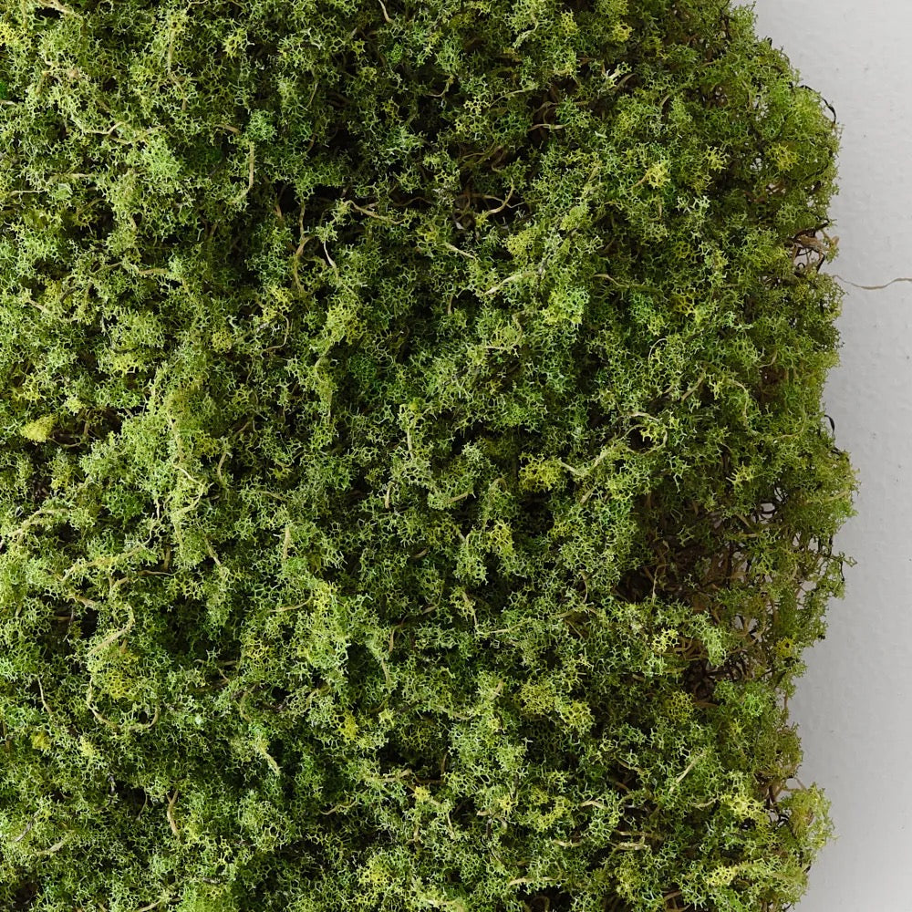 Faux Moss
