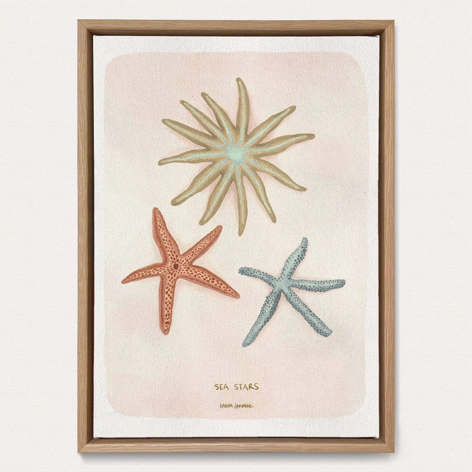 SEA STARS
