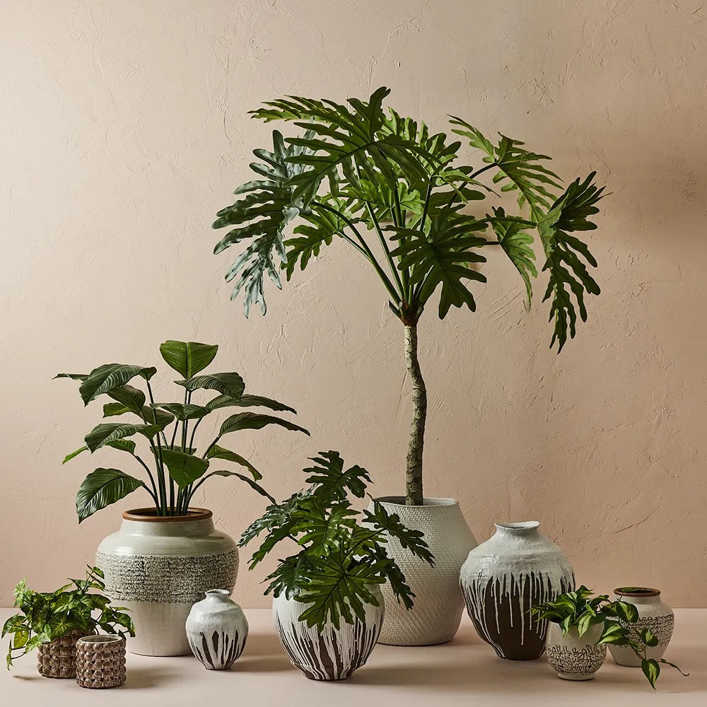 Sierra Pots