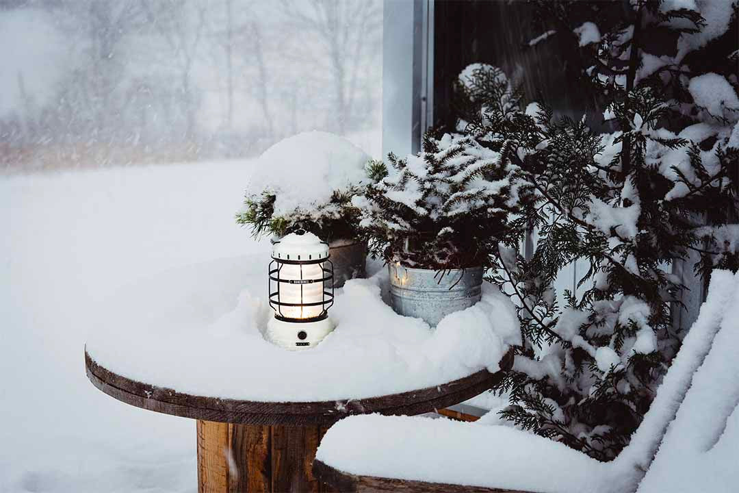 Forest Lantern - Vintage White