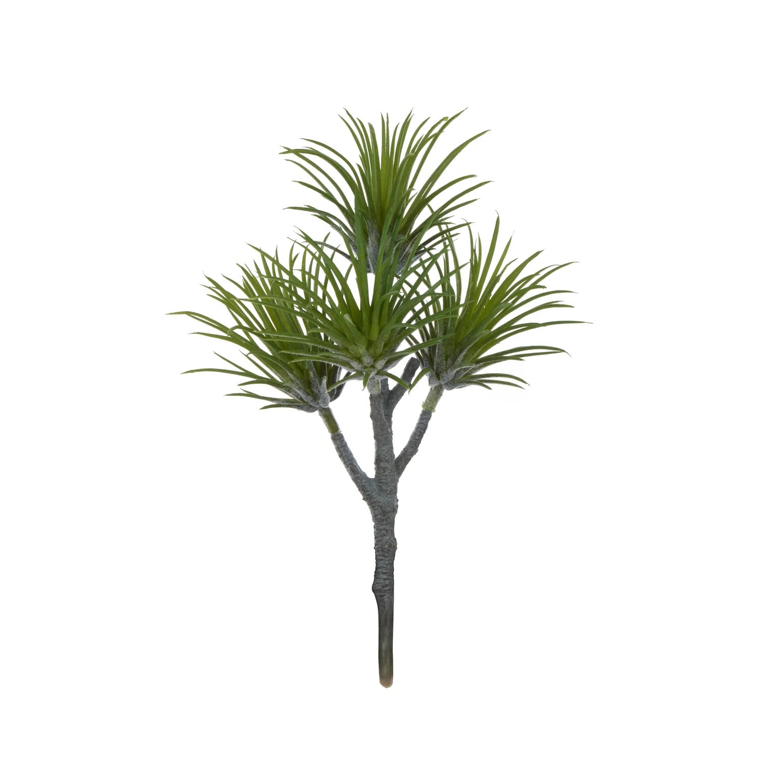 Air Plant Spray Green