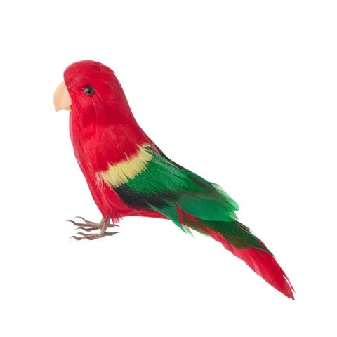 BUDGIE