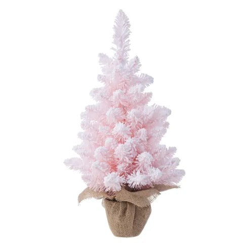 SNOWY PRIMROSE TREE