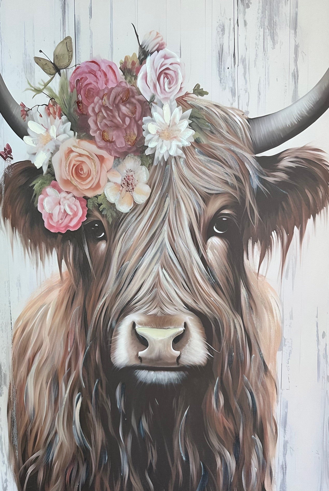 Bonnie the Highland Bull