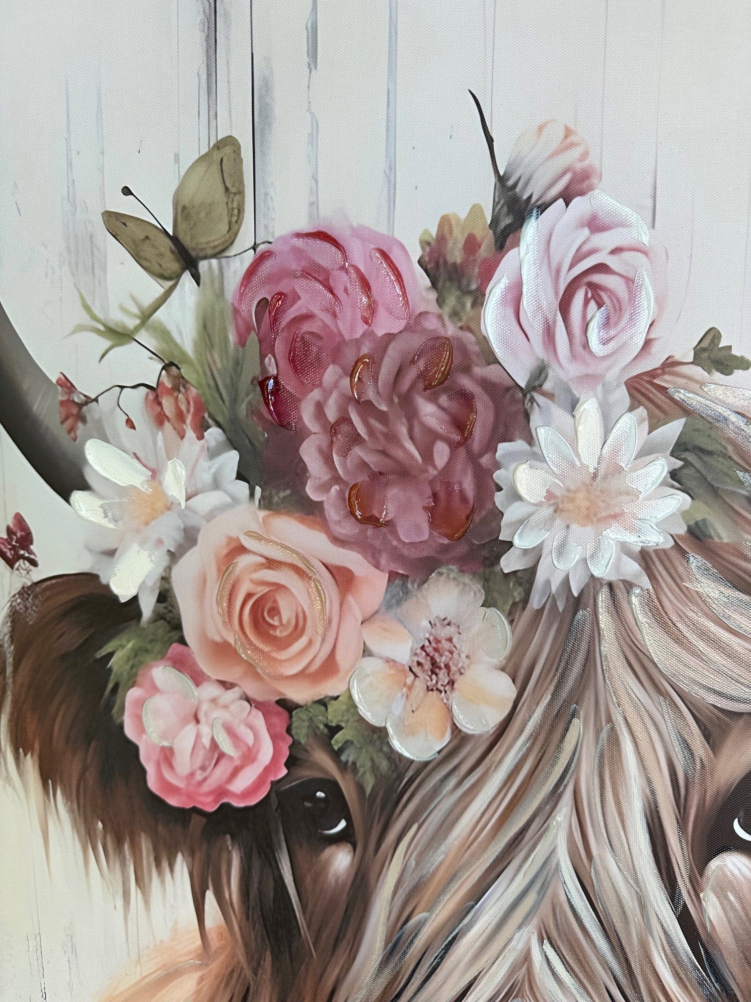 Bonnie the Highland Bull