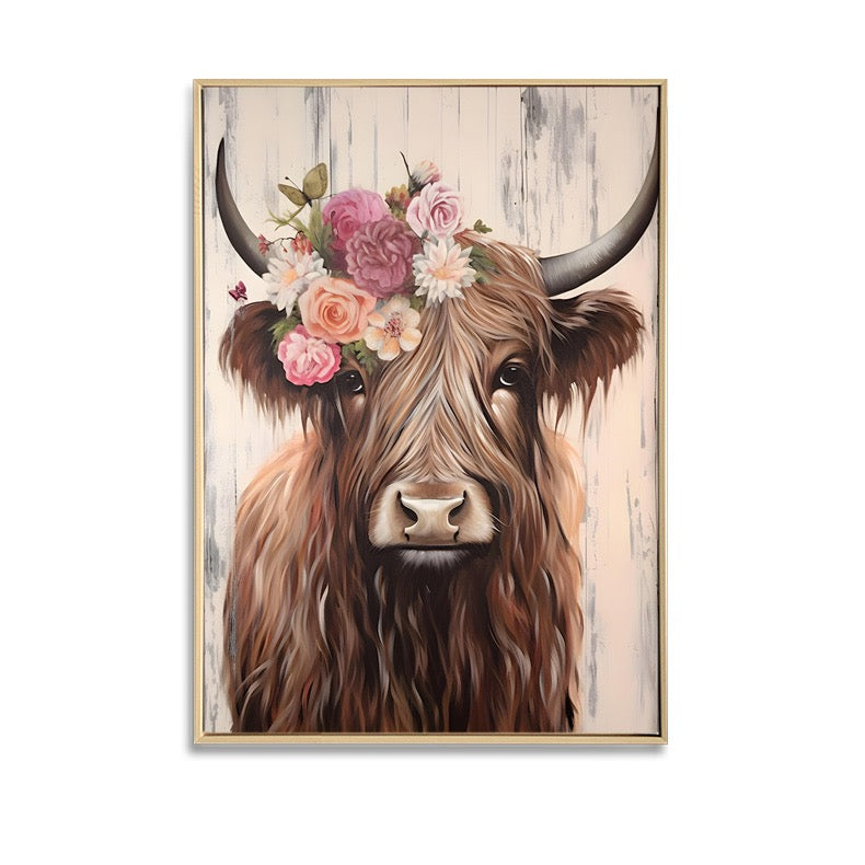 Bonnie the Highland Bull