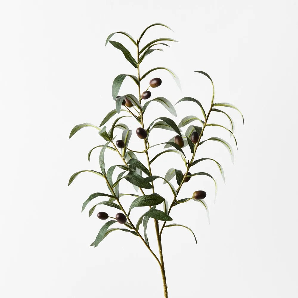 Olive Leaf Spray 72cm