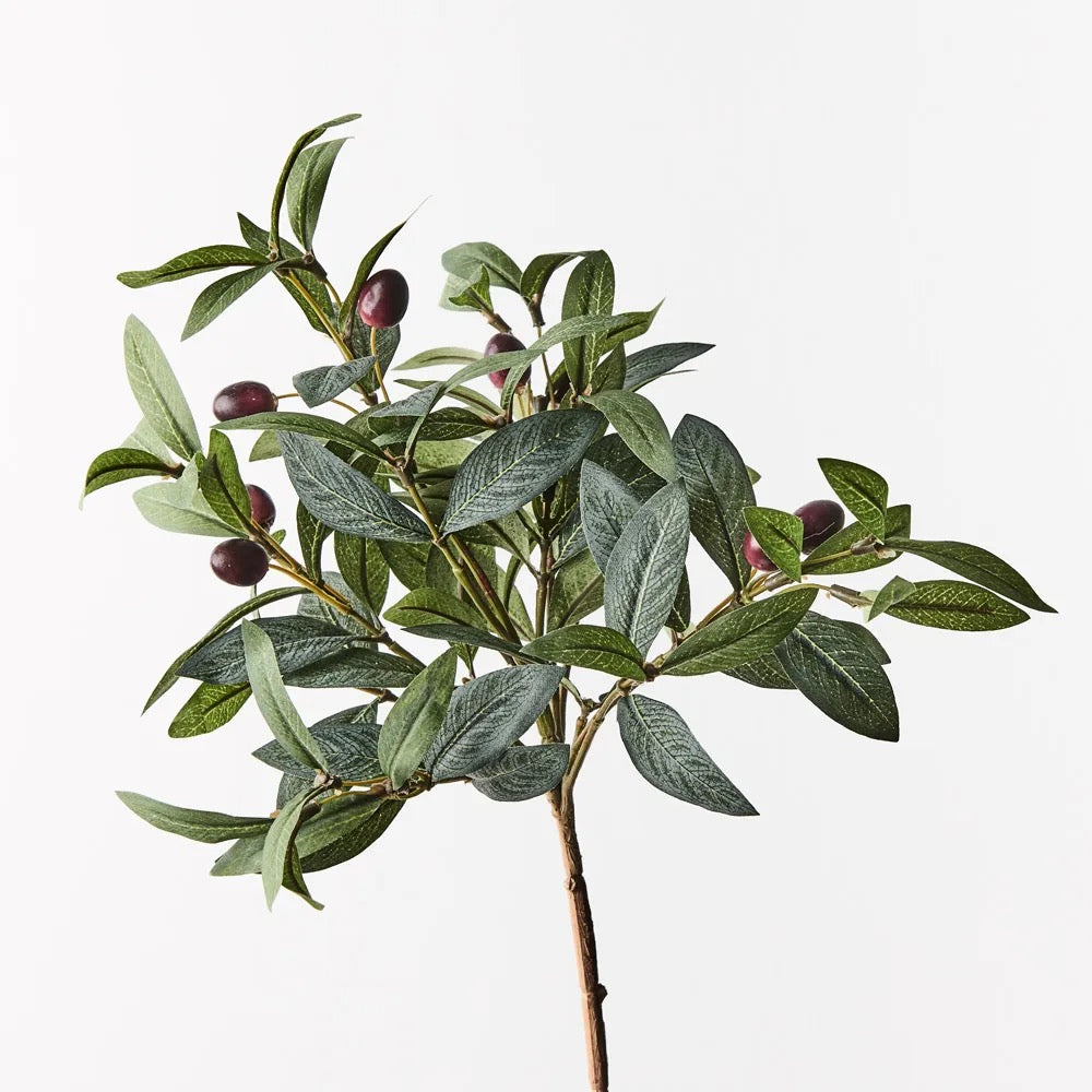 Olive leaf Pick 40cm