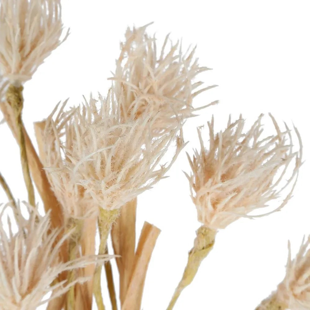Wheat Flower