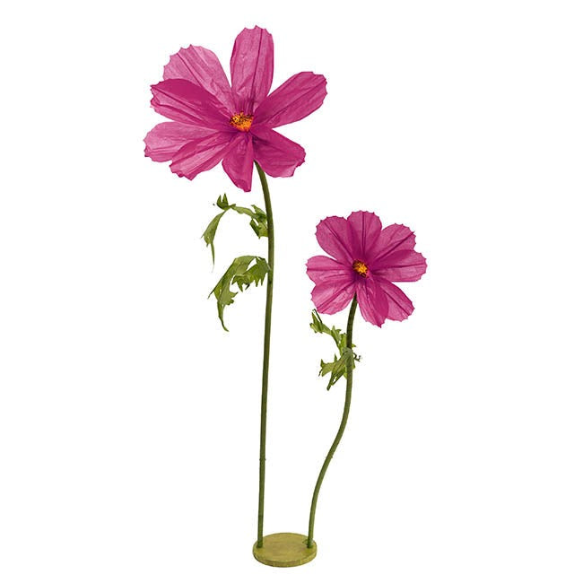 Giant Paper Cosmos Flower Set 2 (160cmH)