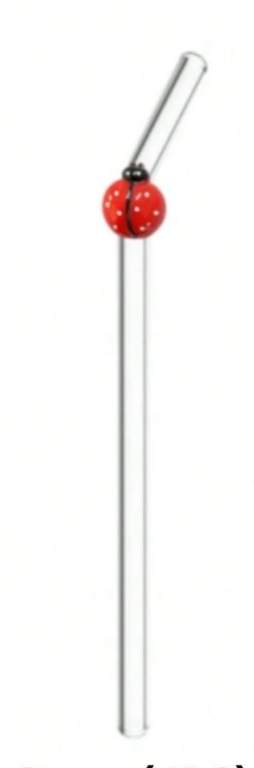 Glass Straws - Assorted